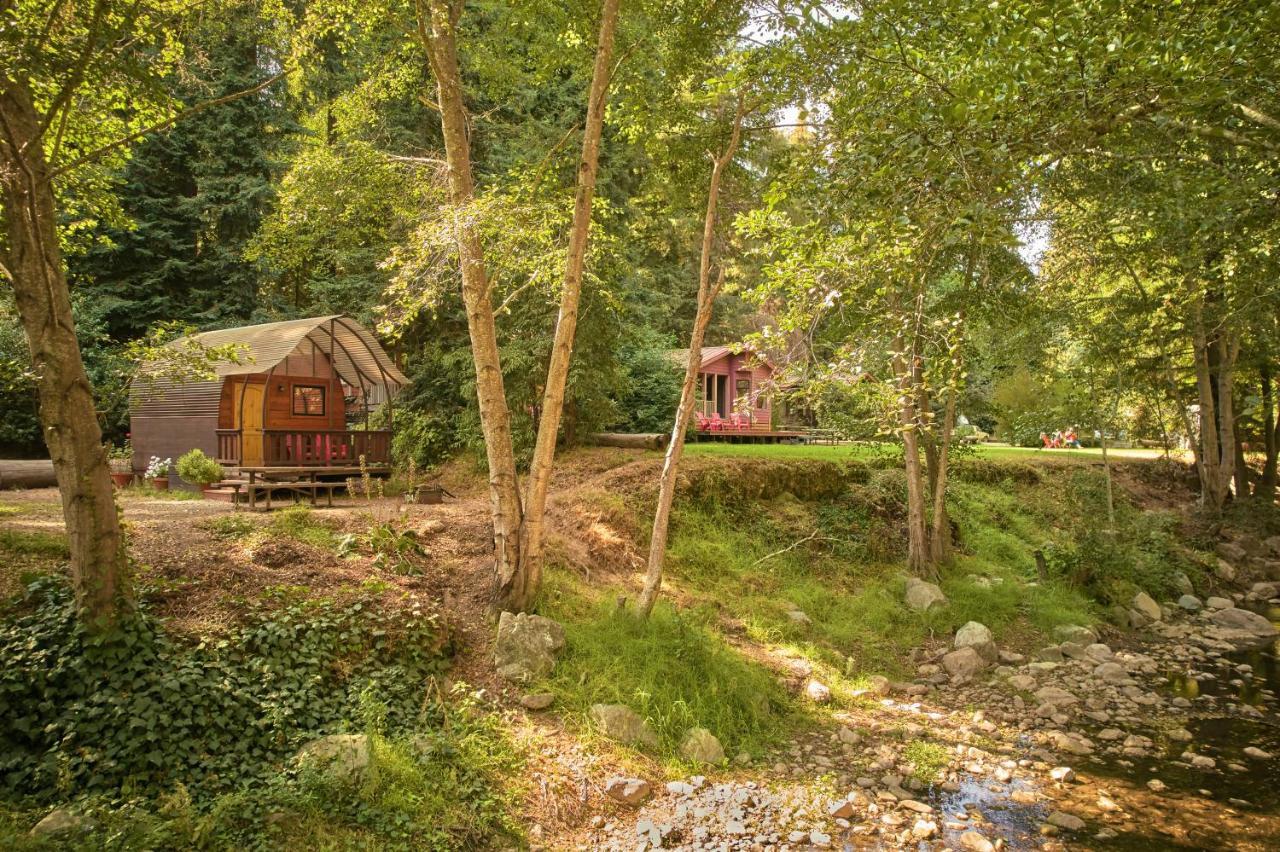 Big Sur Campground And Cabins エクステリア 写真